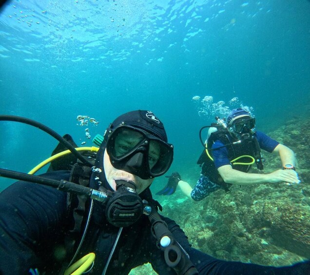 Two scuba divers underwater with scuba gear, surrounded by marine life and coral formations. 2