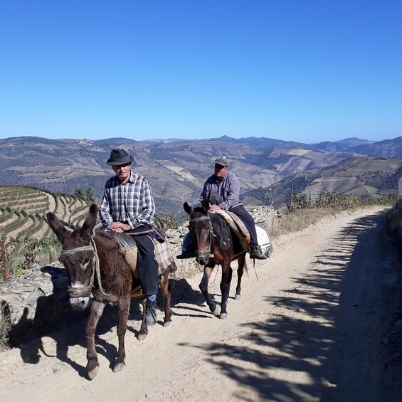 Two men riding donkeys on a dirt path with terraced fields and mountains in the background. 2
