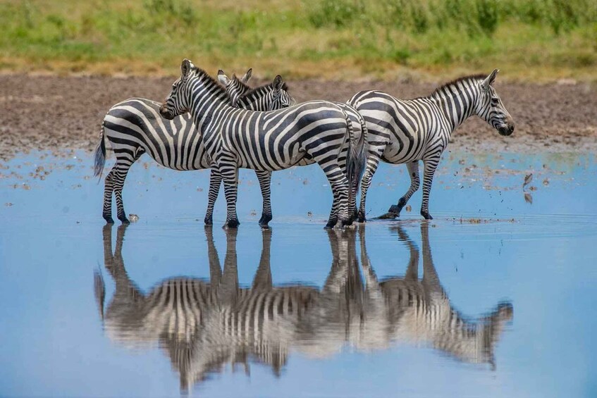 Addis Ababa: 4-Day Chebera Churchura National Park Safari 1
