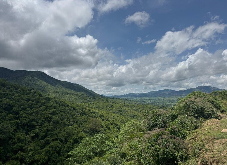 Picture 3 for Activity Addis Ababa: 4-Day Chebera Churchura National Park Safari 5