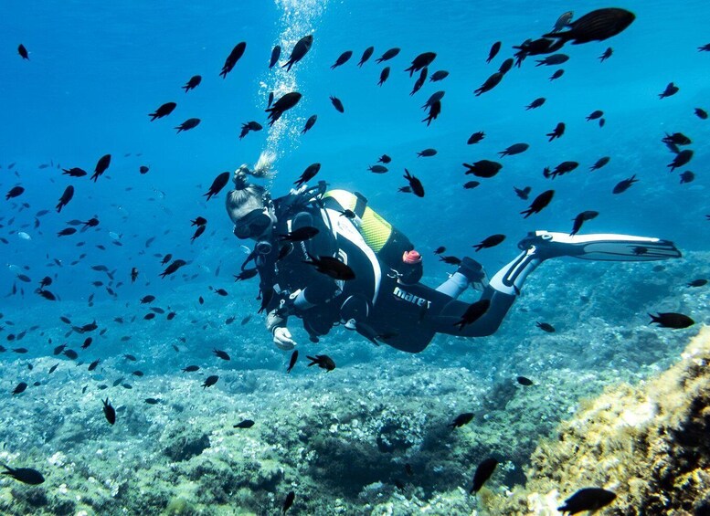 A diver surrounded by fish in clear blue water. 1