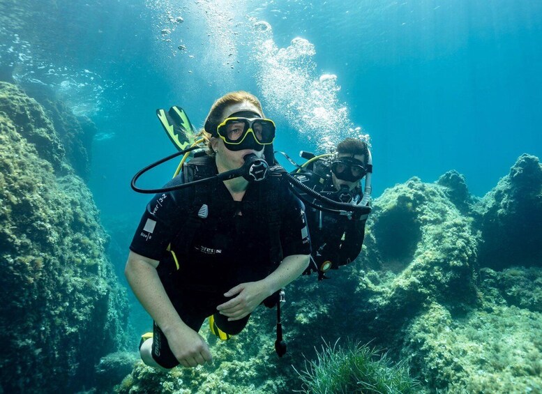 Two scuba divers underwater with coral formations and marine life in the background. 3