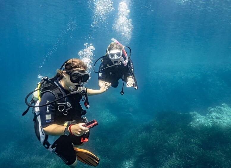 Two divers underwater with fins and scuba gear. 2