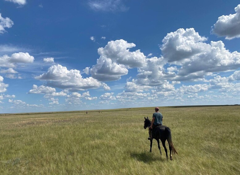 A person riding a horse across a grassy field under a blue sky with scattered clouds. 4