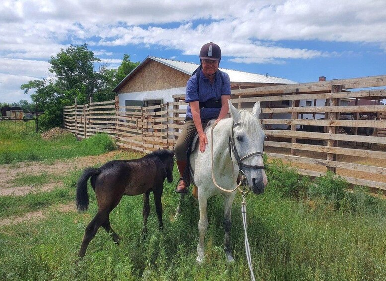 A person riding a white horse with a black horse nearby in a fenced area with a wooden structure in the background. 3