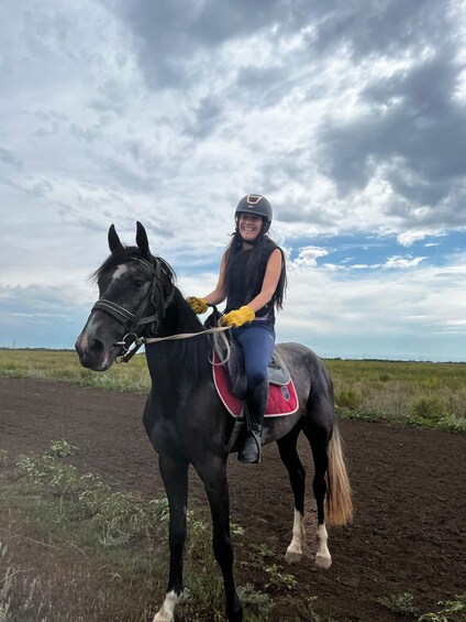 A person riding a horse in an open field with a cloudy sky. 2