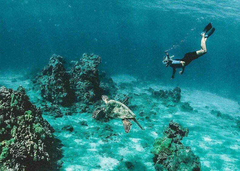 A diver swimming near a coral reef with a sea turtle. 2
