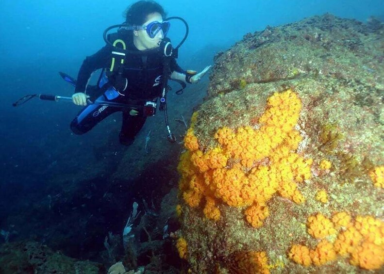 A diver with scuba gear exploring a coral reef with vibrant orange coral formations. 3
