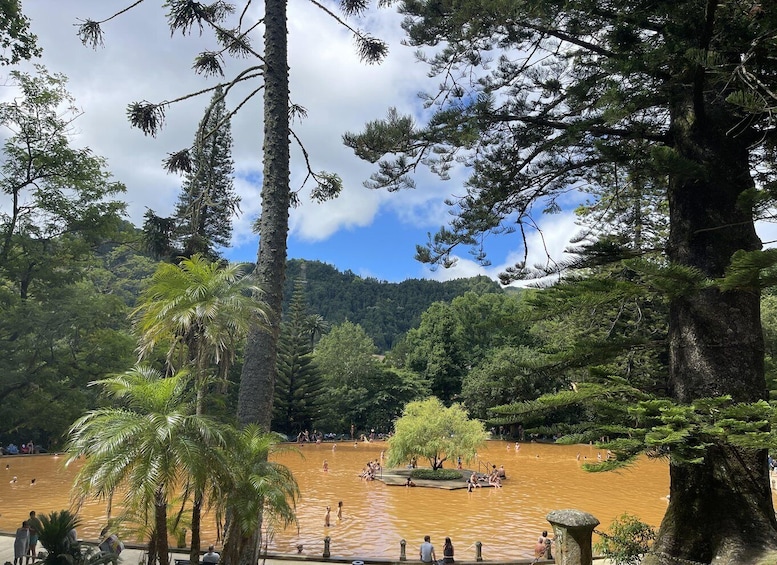 Picture 3 for Activity Furnas: Hiking, Terra Nostra Botanical Garden & Hot Springs 2