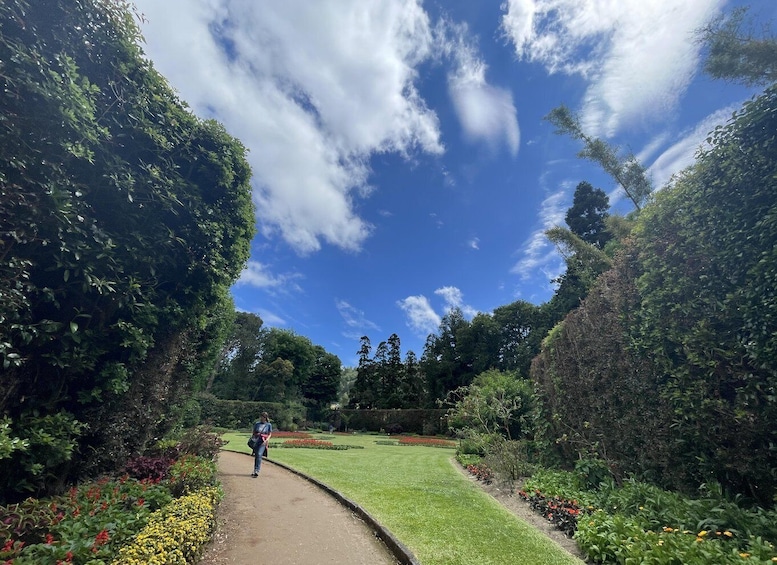 A pathway through a garden with a clear sky and lush greenery. 4