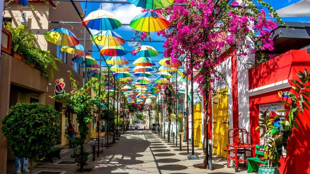 A street lined with colorful umbrellas and vibrant bougainvillea flowers. 1