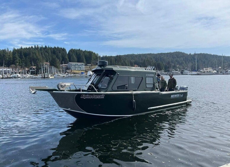 A boat named 'Alpine Pursuit' docked at a marina with a forested hill in the background. 2
