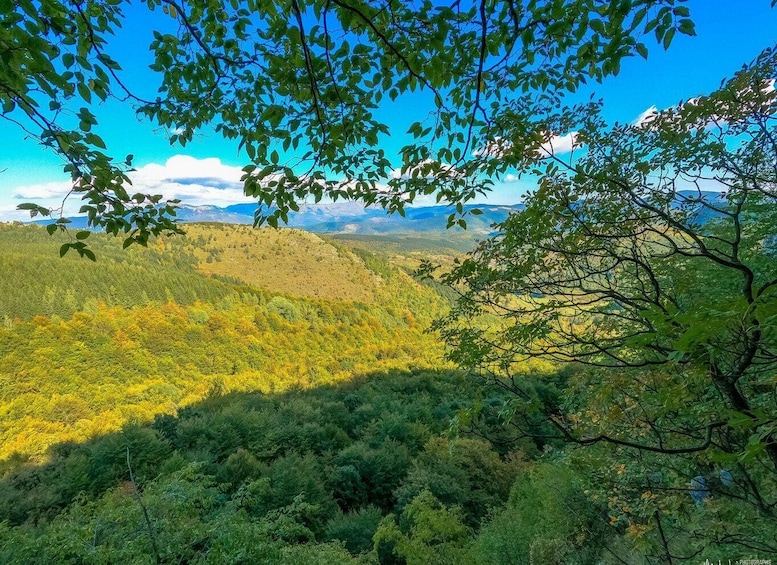 A mountainous landscape with dense forest and clear blue skies. 3
