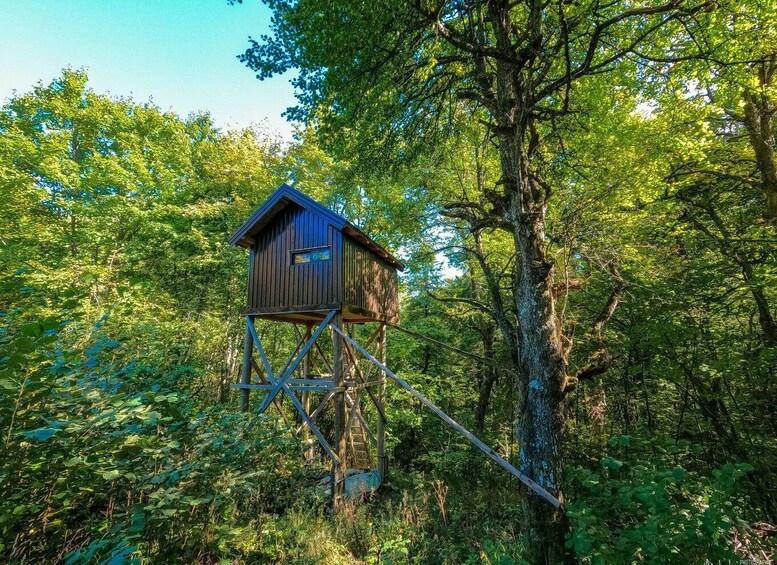 A wooden treehouse on stilts in a forest. 2