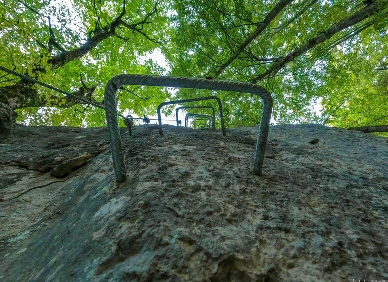 A rocky path with metal handrails, surrounded by dense green foliage. 4