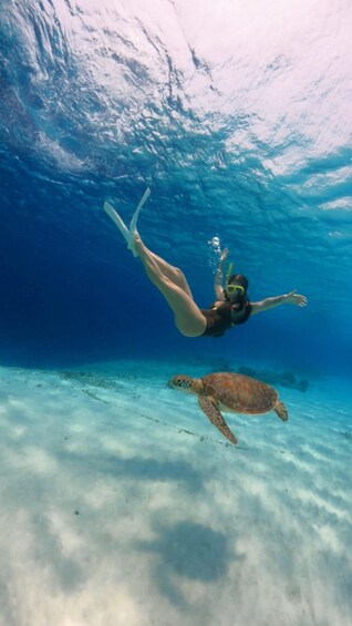 A person snorkeling underwater with a sea turtle nearby. 5