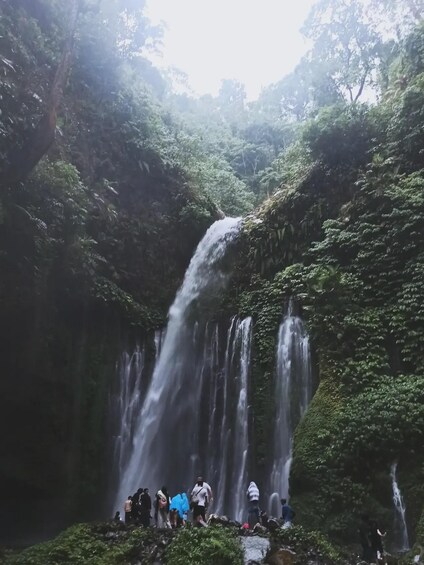 Picture 21 for Activity Lombok : Private Snorkeling 3 island and Waterfalls tour 3