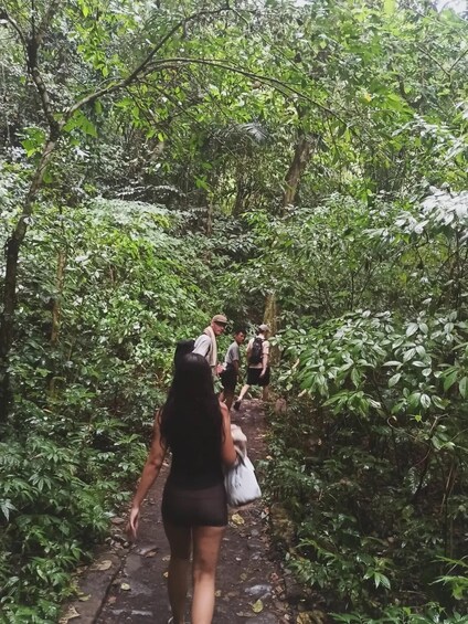 Picture 22 for Activity Lombok : Private Snorkeling 3 island and Waterfalls tour 4