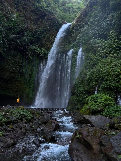 Picture 20 for Activity Lombok : Private Snorkeling 3 island and Waterfalls tour 4