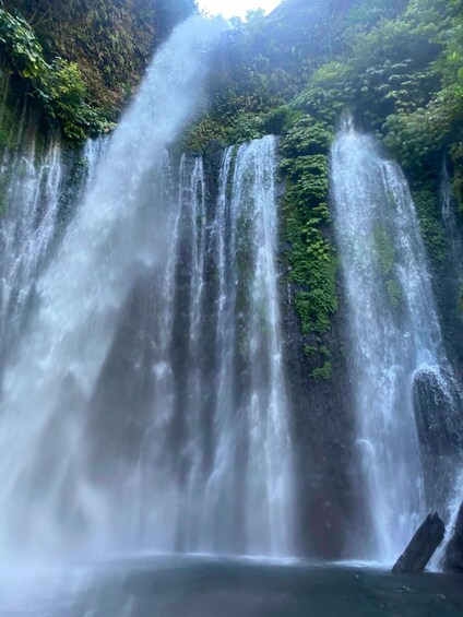 Picture 19 for Activity Lombok : Private Snorkeling 3 island and Waterfalls tour 2