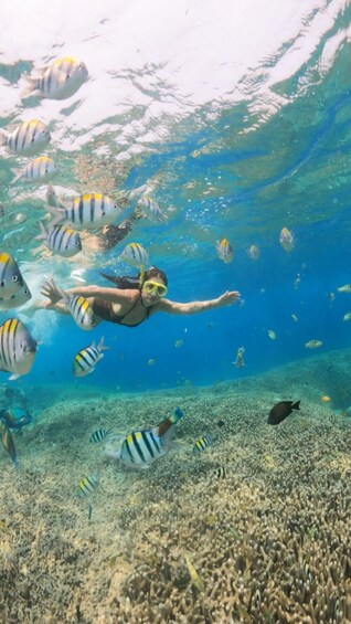 A person snorkeling among tropical fish in clear blue water. 4