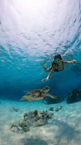 A person snorkeling underwater with a sea turtle. 2