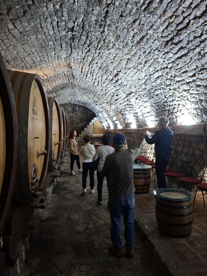 Picture 24 for Activity From Kotor to Sarajevo Private Tour with Trebinje & Mostar 5