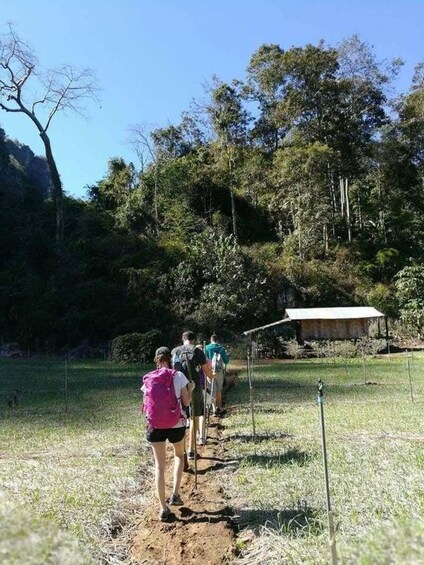 A group of people hiking on a dirt trail surrounded by trees and grass. 4