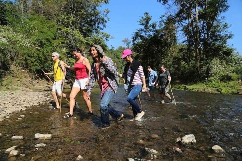 A group of people crossing a shallow river in a forested area. 3