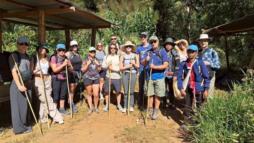 Picture 7 for Activity Pang Mapha: 1-Day Treakking Tour 4