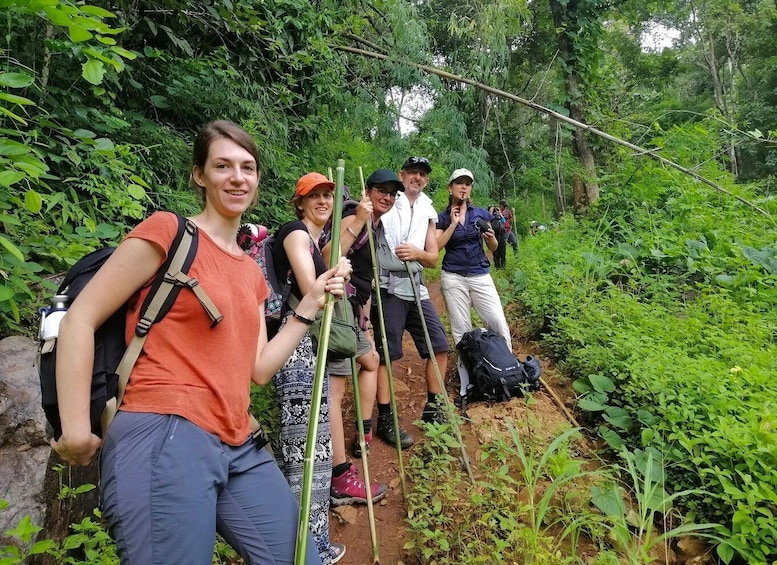 Picture 1 for Activity Pang Mapha: 1-Day Treakking Tour 3