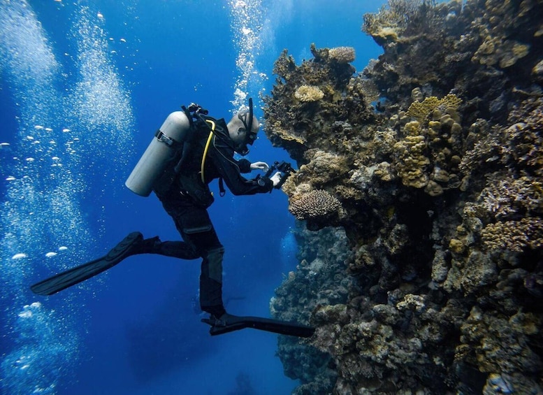A diver exploring a coral reef. 1