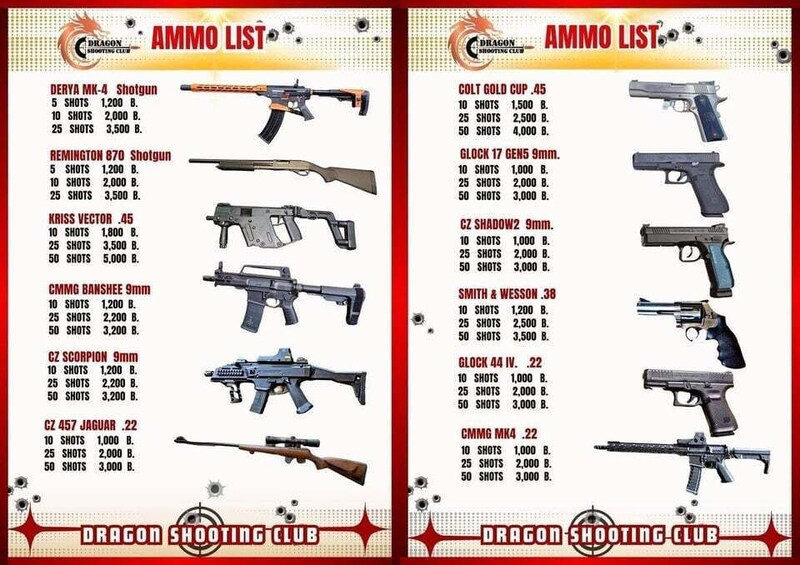 A list of firearms with their names, calibers, and bullet counts. 5
