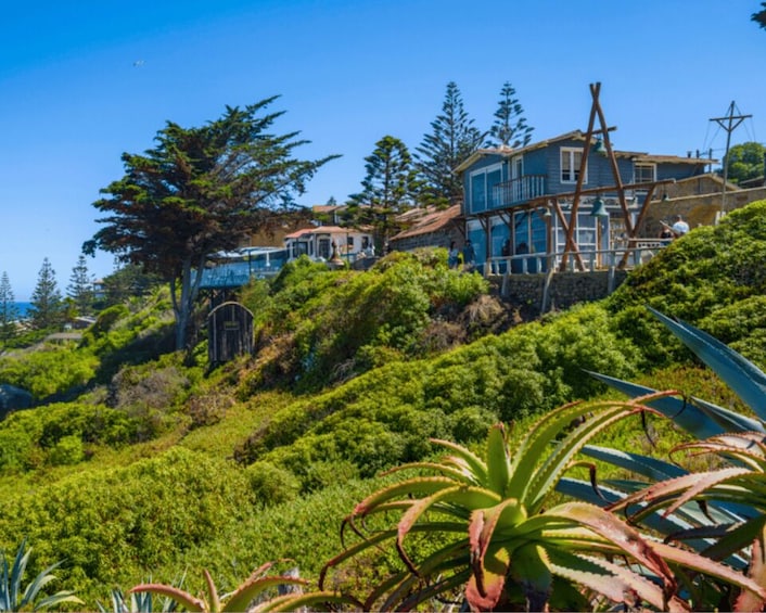 A coastal hillside with houses, dense greenery, and a clear blue sky. 5