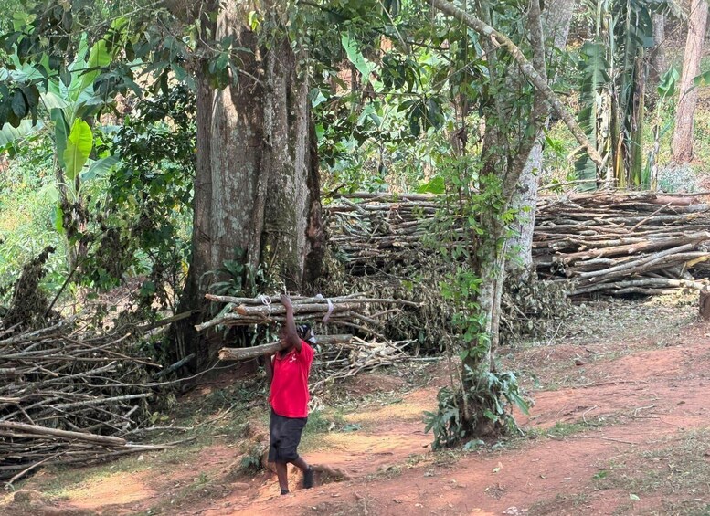 Picture 1 for Activity Uganda: Village Life Experience, Cooking Class & Farming 2