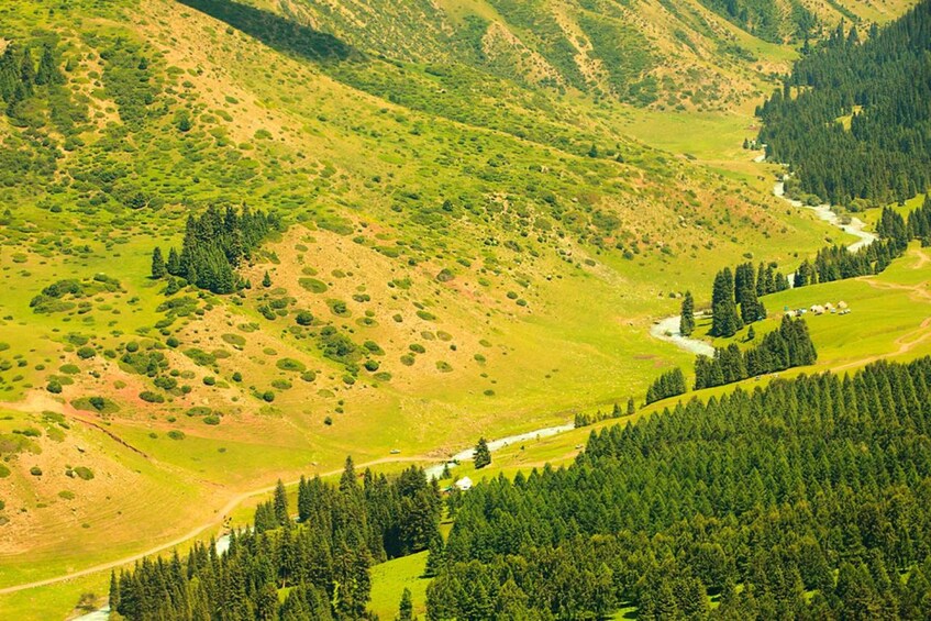 A mountainous landscape with a river, dense forest, and a small settlement. 3
