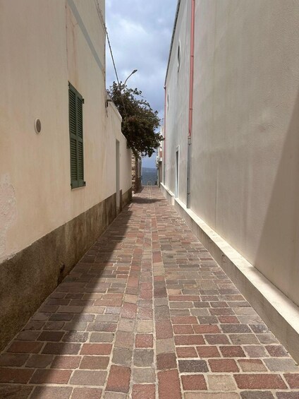 A narrow alley with cobblestone pavement, white walls, and a view of the sea in the distance. 1