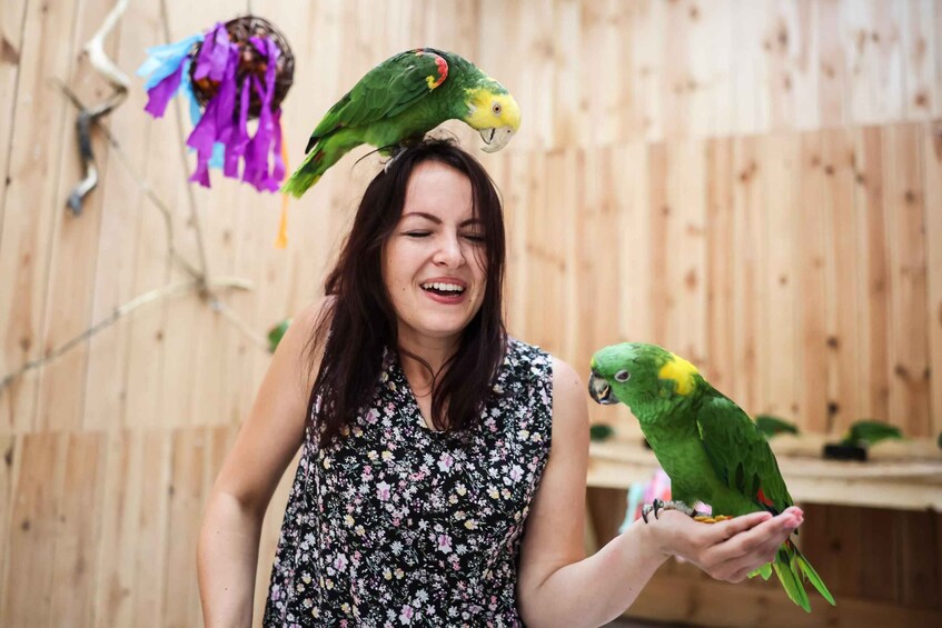 A person holding a parrot on their hand and another parrot perched on their head. 1