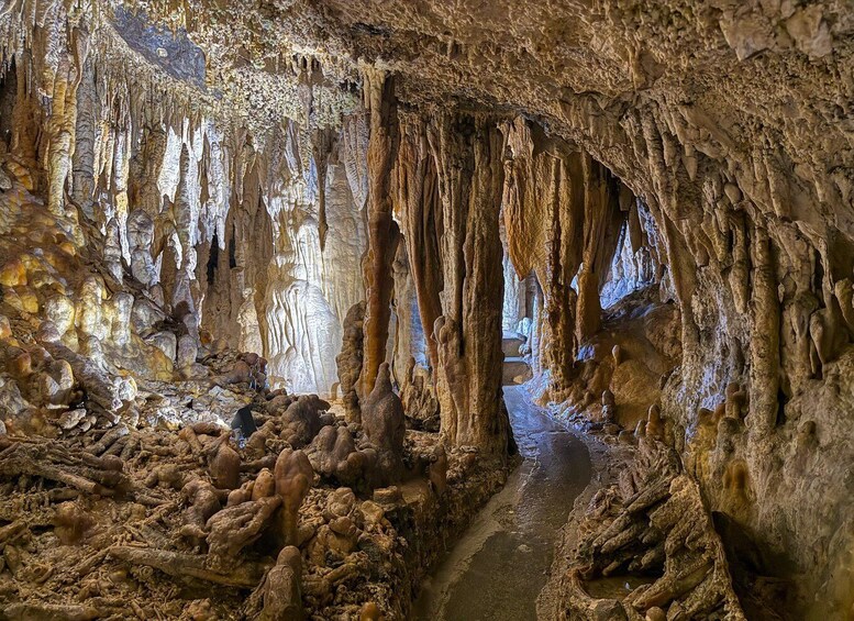 A cave with stalactites and stalagmites, a narrow passage, and a water stream. 2