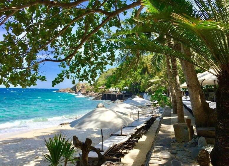 A beach with white sand, palm trees, and a clear blue sea. 4