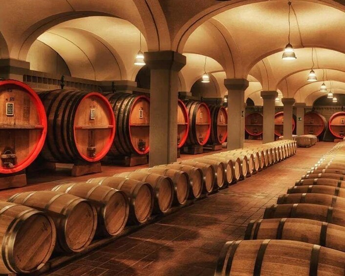 A wine cellar with rows of wooden barrels under arched ceilings. 3