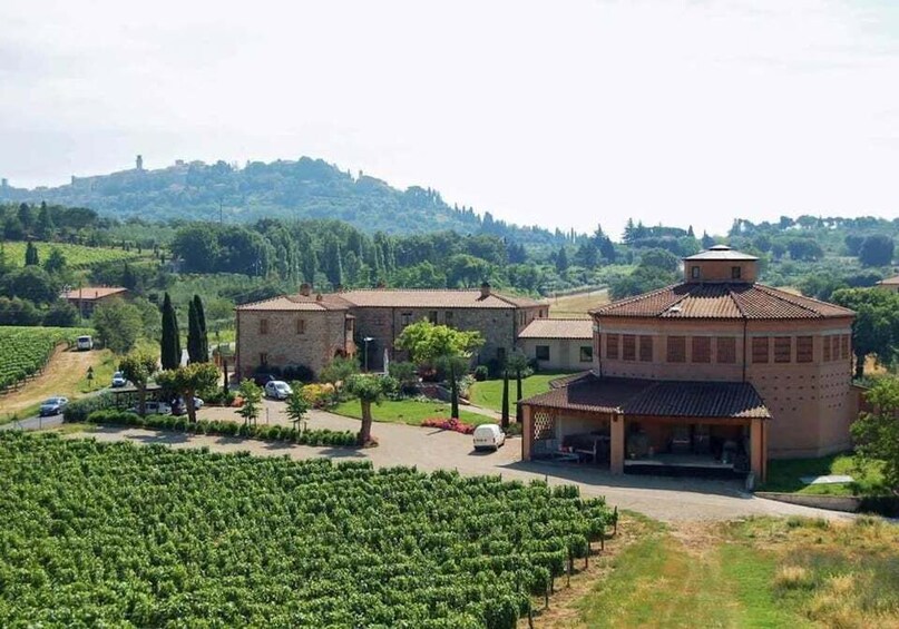 A vineyard with buildings and a hill in the background. 4