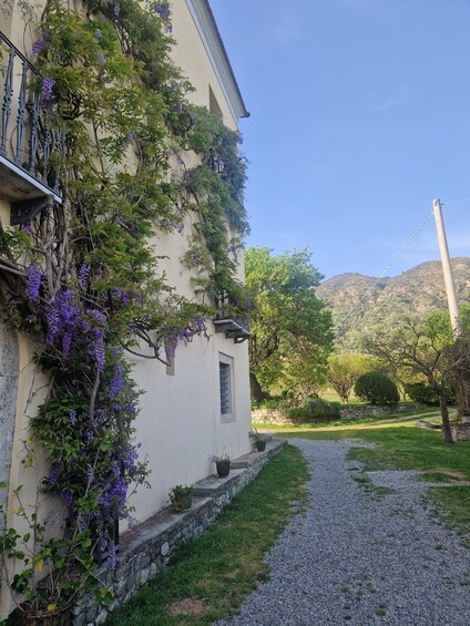 A building with purple flowering vines, a gravel path, and a mountainous landscape in the background. 3