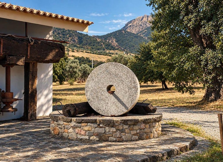 A stone mill wheel outdoors, a rustic building, and a mountainous landscape. 4