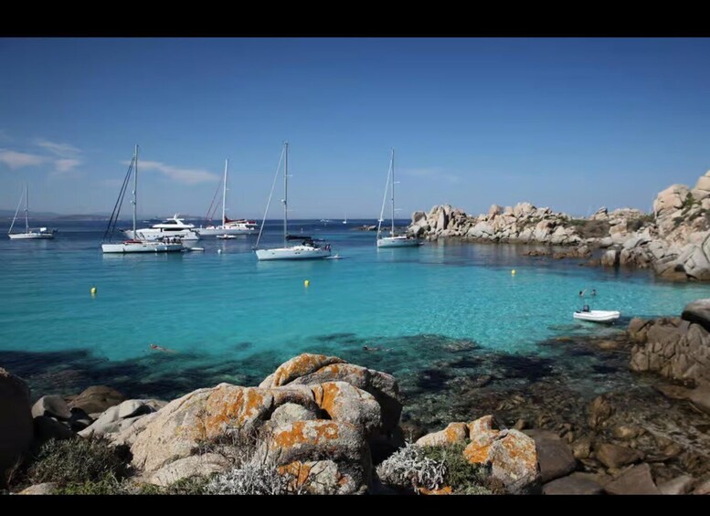 A coastal scene with clear turquoise water, rocky shorelines, and several sailboats anchored near the rocks. 2