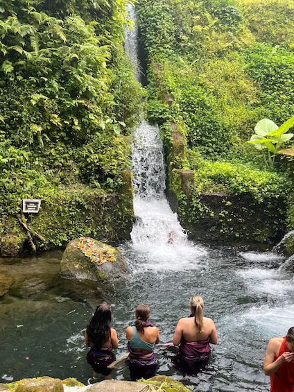 A waterfall in a lush green forest with a sign indicating a location. 2