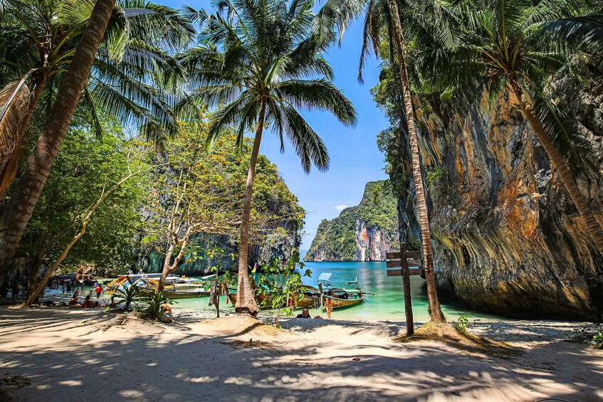 A beach with palm trees, boats, and a rocky cliff. 2
