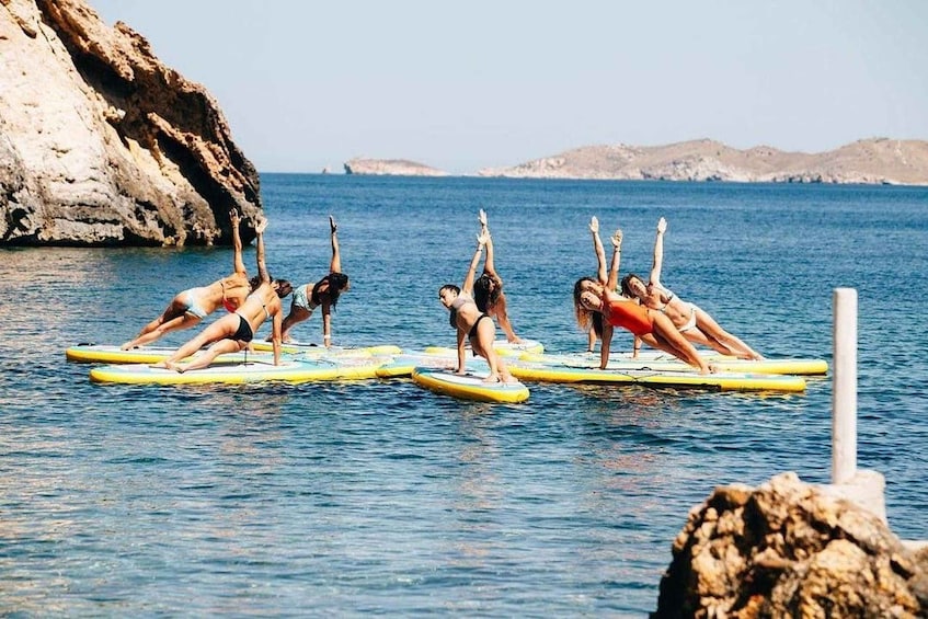 People on surfboards in the water near a rocky coastline. 1