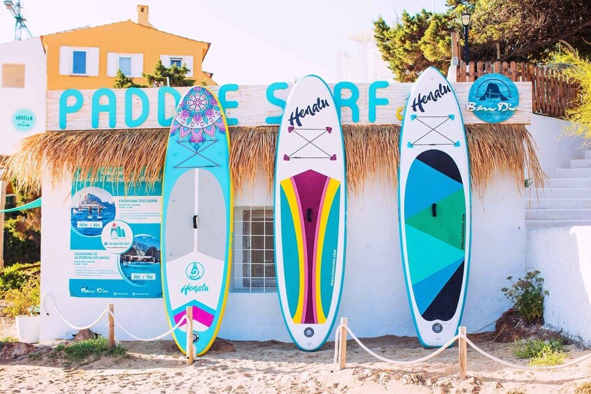 Four colorful surfboards in front of a building with a sign that reads 'PADDOES SURF'. 3