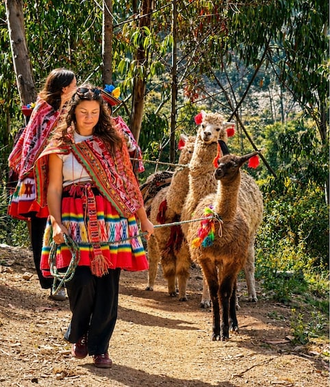 Picture 1 for Activity Ollantaytambo: Pachamanca Lunch Experience & Llama Walk 5